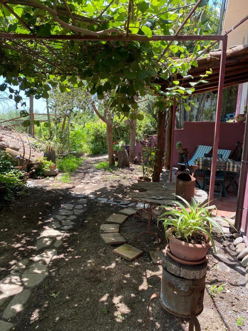 Agriturismo Etna-Mare Piedimonte Etneo Exterior foto