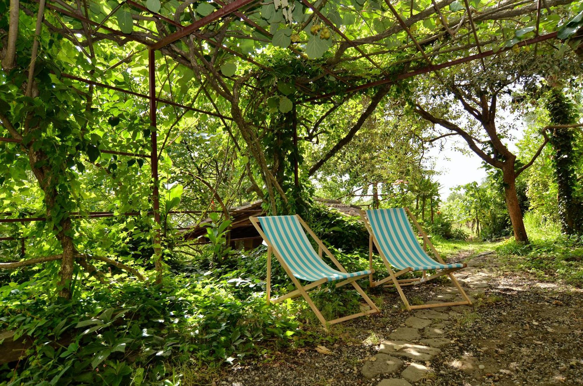 Agriturismo Etna-Mare Piedimonte Etneo Quarto foto