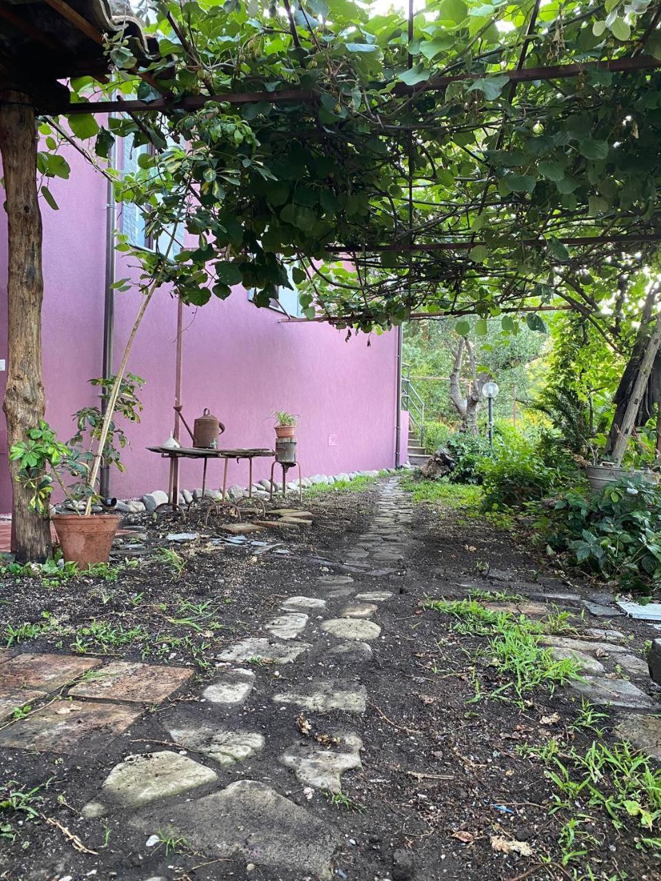 Agriturismo Etna-Mare Piedimonte Etneo Quarto foto