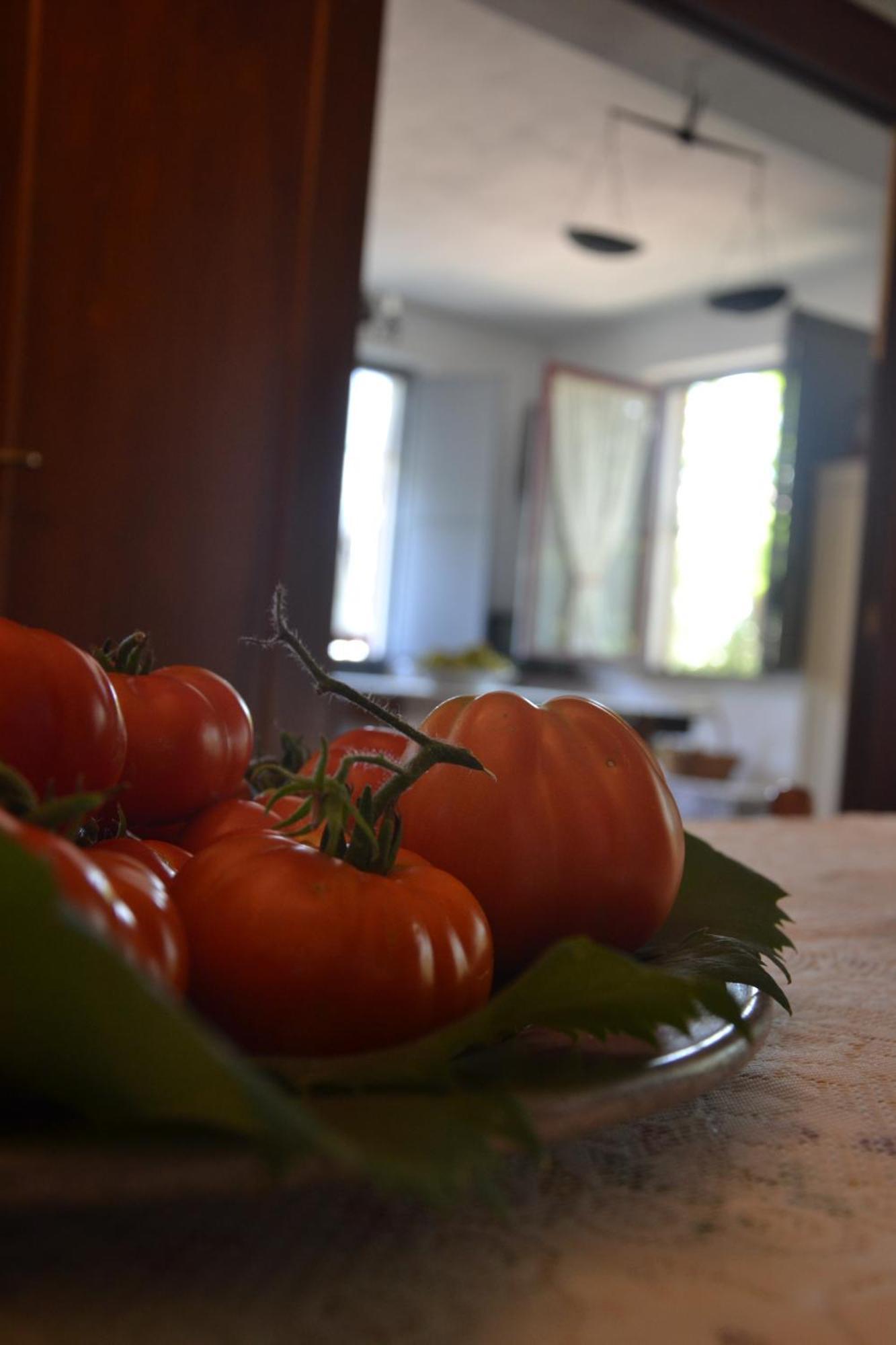 Agriturismo Etna-Mare Piedimonte Etneo Quarto foto